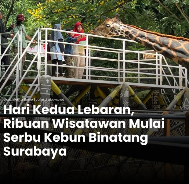gambar berita