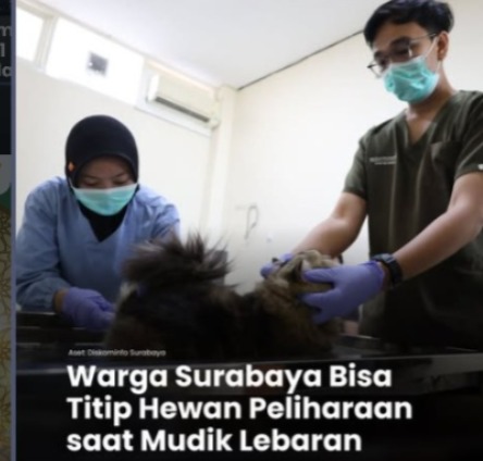 gambar berita