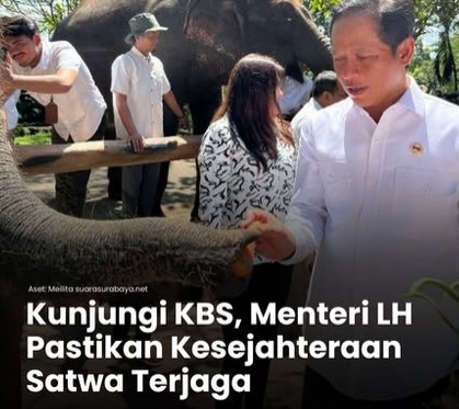gambar berita